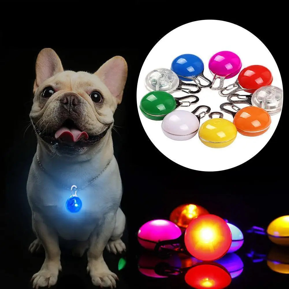 LED Dog Collar Light, Glow in The Dark - MyPetDollar.com