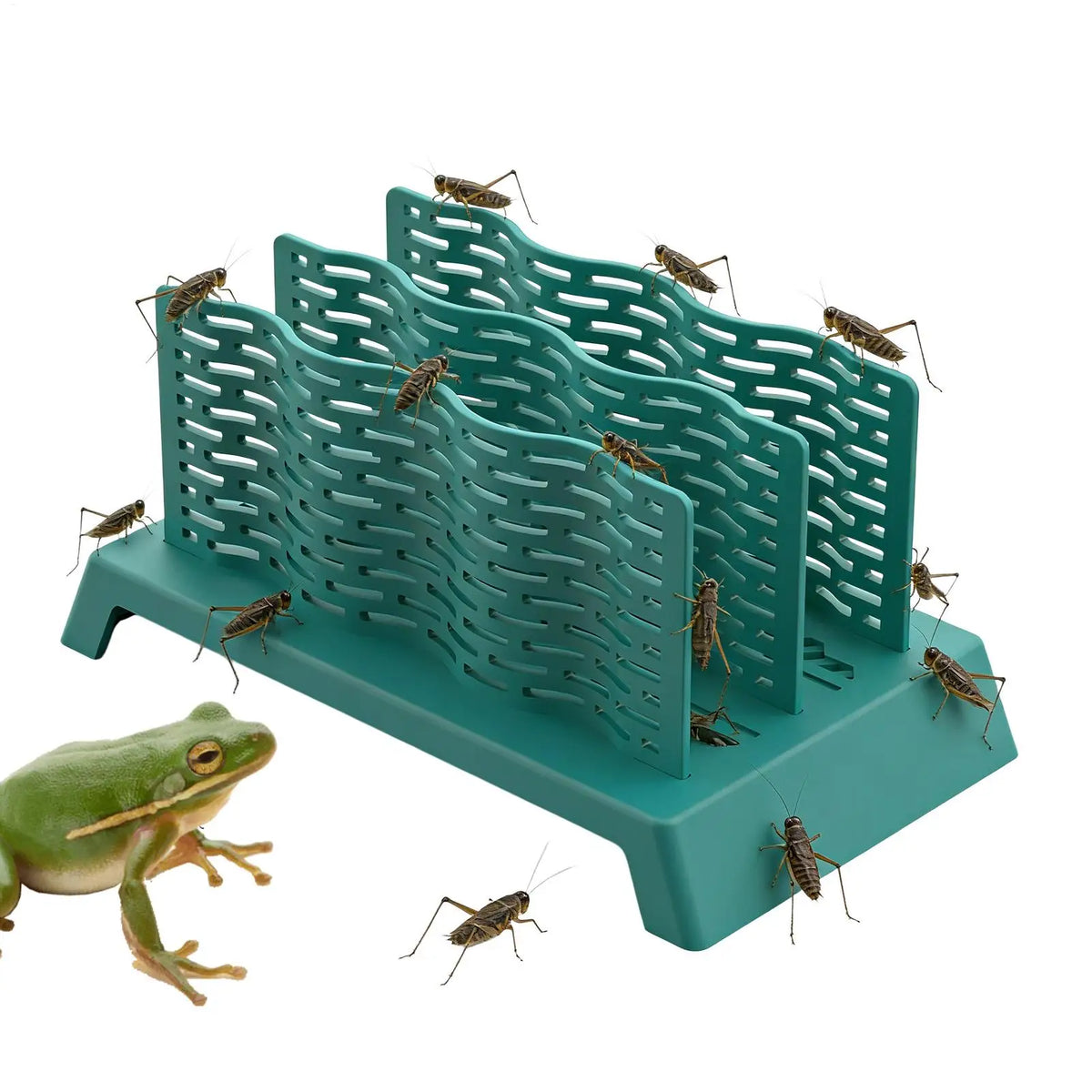Reptile Feeding Box Anti-Escape Chameleon - MyPetDollar.com