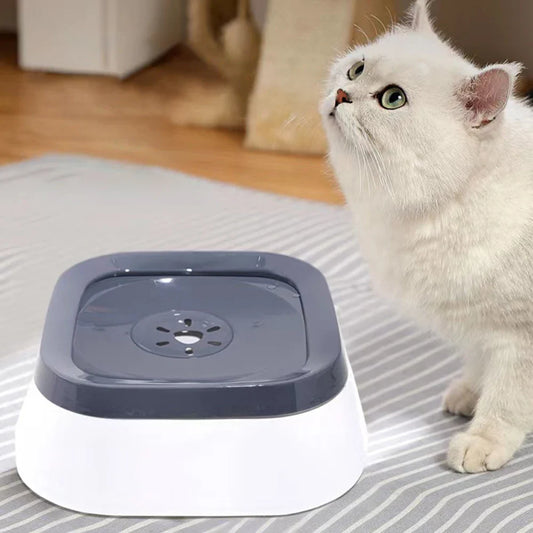 Outdoor Pet Floating Water Basin, Water - MyPetDollar.com