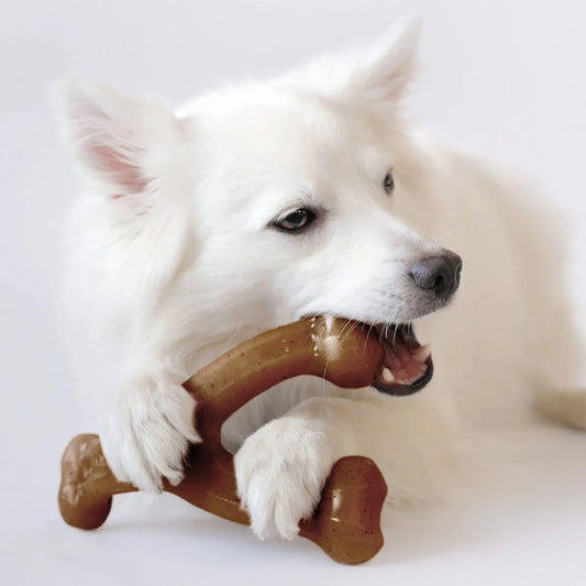 Dog Toys Food Grade Nylon Durable Dog Chews - MyPetDollar.com