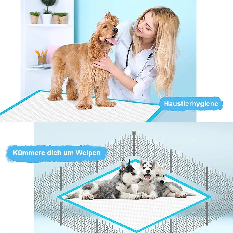 100pc Pet Diapers 33*45cm Cats Dog Diapers - MyPetDollar.com
