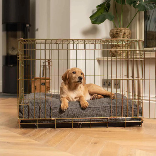 (Excluding cage) Thick Dog Cage Bed Mat Soft - MyPetDollar.com