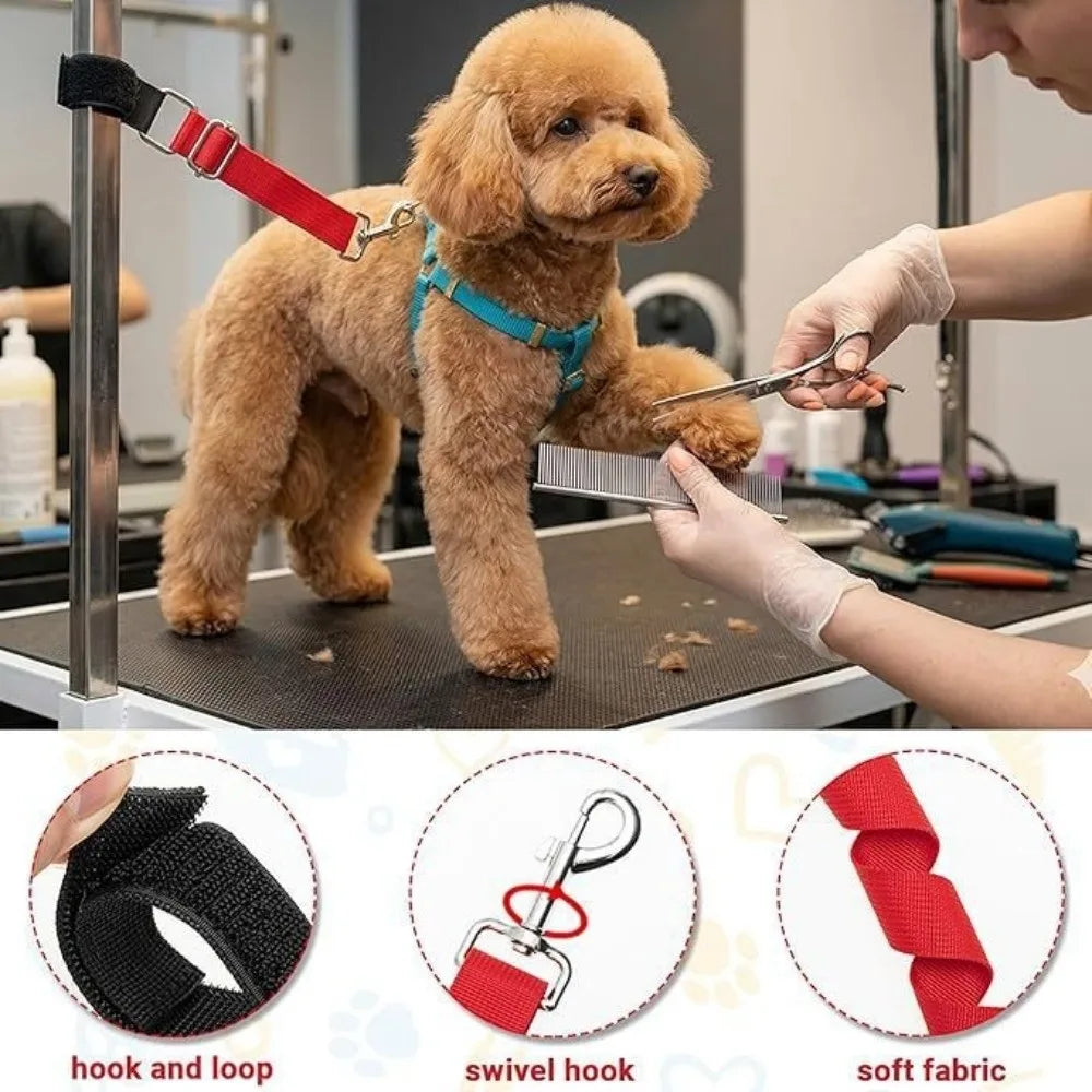 Basic Design Dog Grooming Leashes Elastic - MyPetDollar.com