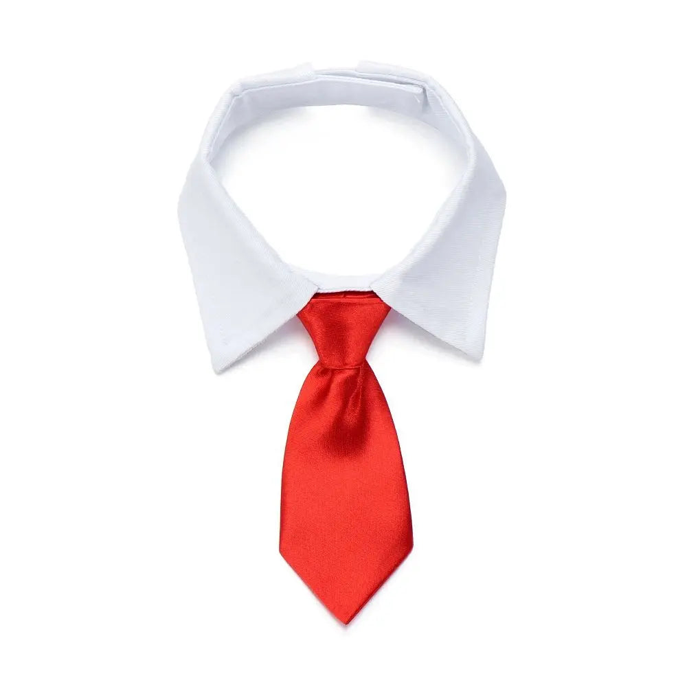 Adjustable Pet Bow Tie Collar - Cute Dog Cat - MyPetDollar.com