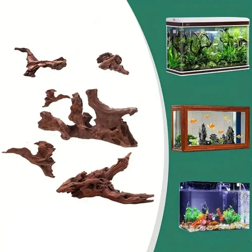 Creative Irregular Shape Coral Wood Natural - MyPetDollar.com