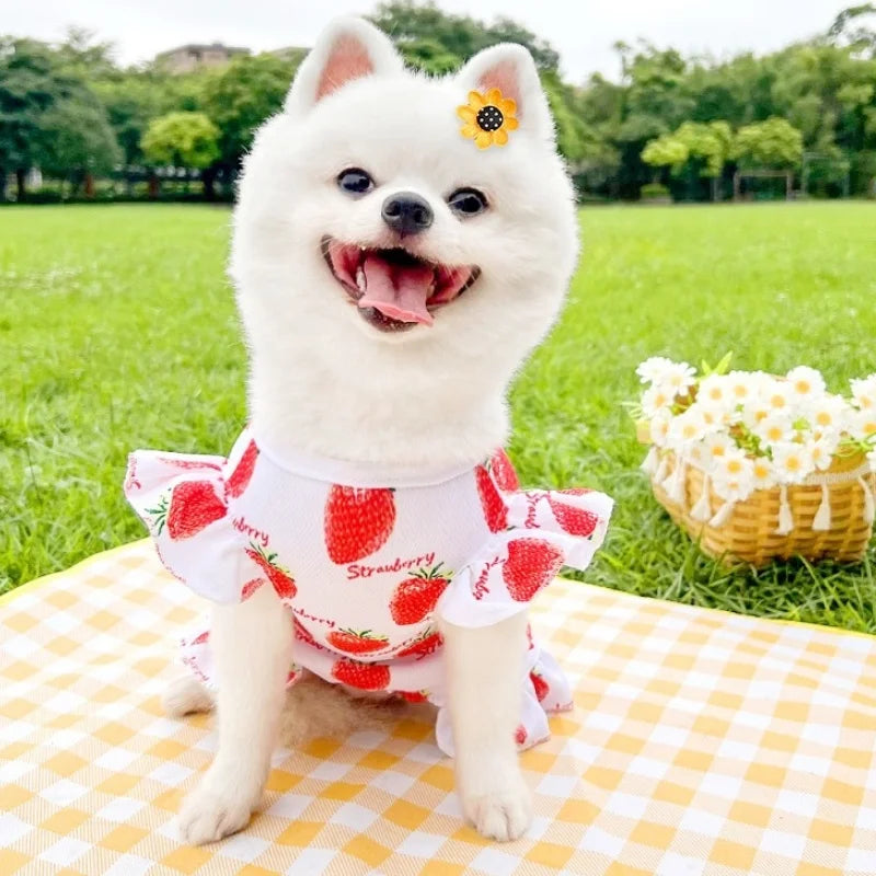 Princess Style Dog Dresses Summer Strawberry - MyPetDollar.com