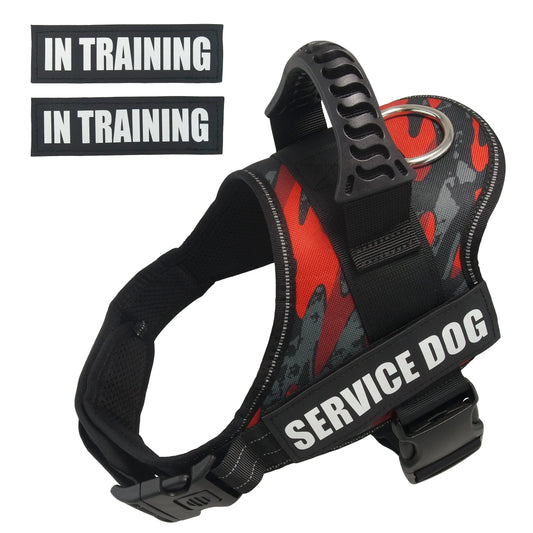 Bulldog Corgi Chihuahua Chest Harness For - MyPetDollar.com