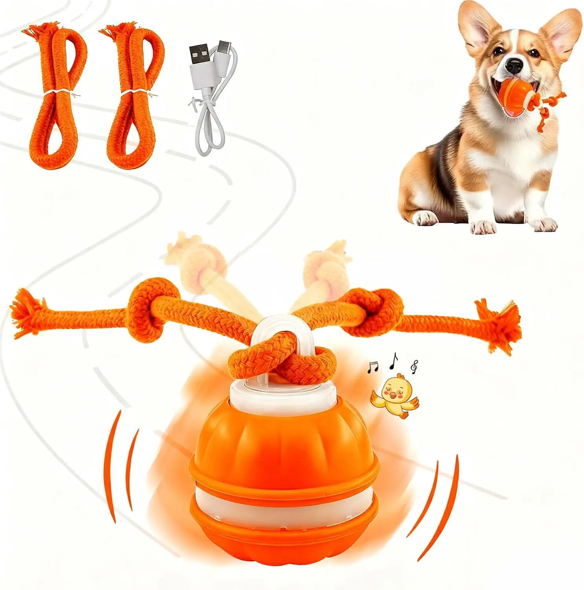 Interactive Dog Toy Ball with Rope - MyPetDollar.com