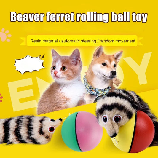 Cat Interactive Ball Toys Training Beaver - MyPetDollar.com