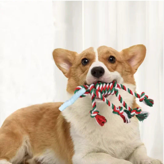 Durable Pet Chew Rope Toys for Dogs And Cats - MyPetDollar.com