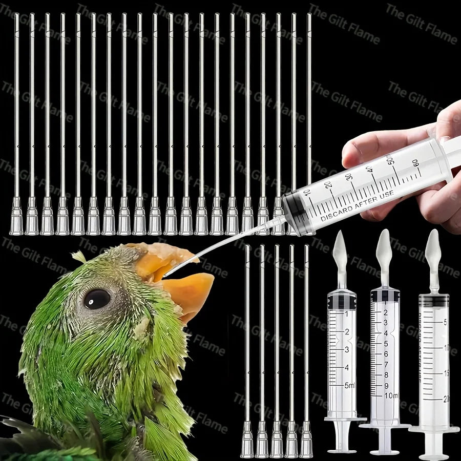 4Pcs/Set Bird Feeders Baby Parrot Feeding - MyPetDollar.com