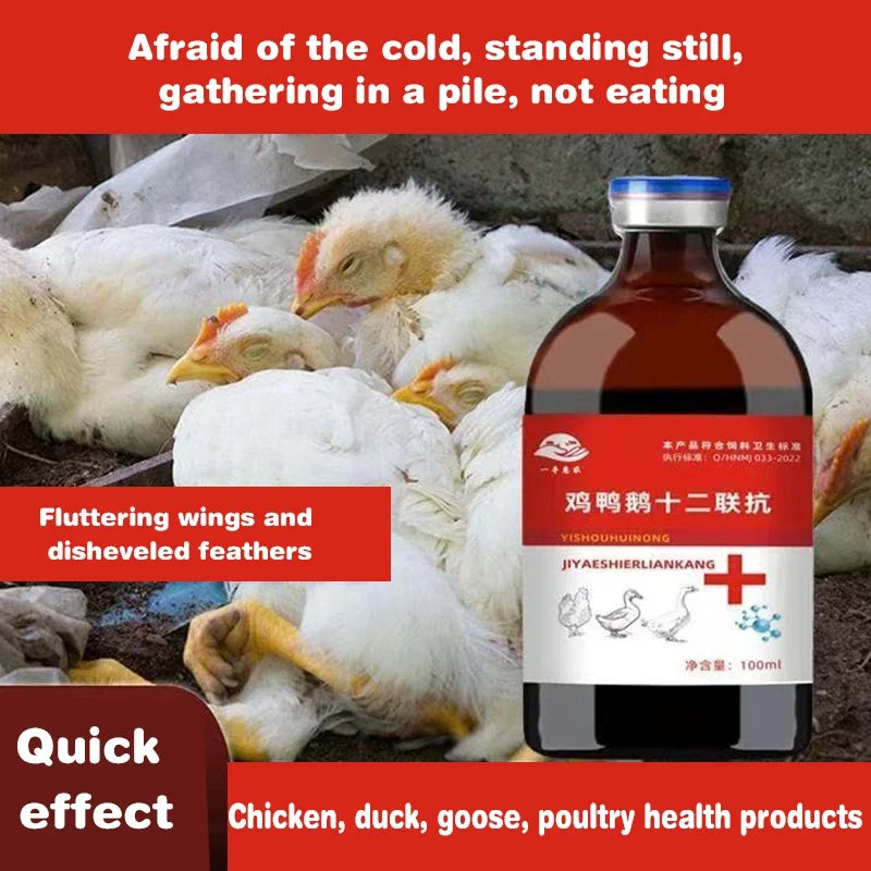 Poultry Chicken Duck Goose Twelve - MyPetDollar.com