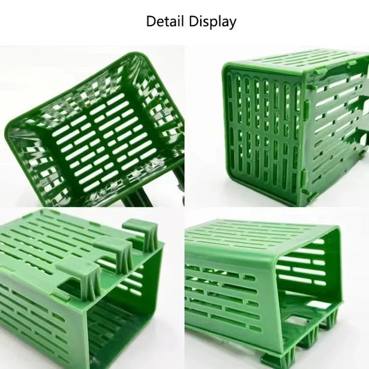 Fish Tank Water Grass Cup Aquarium Planting - MyPetDollar.com