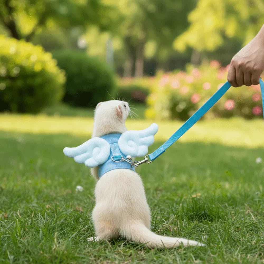 Adjustable Ferret Traction Harness Cartoon - MyPetDollar.com