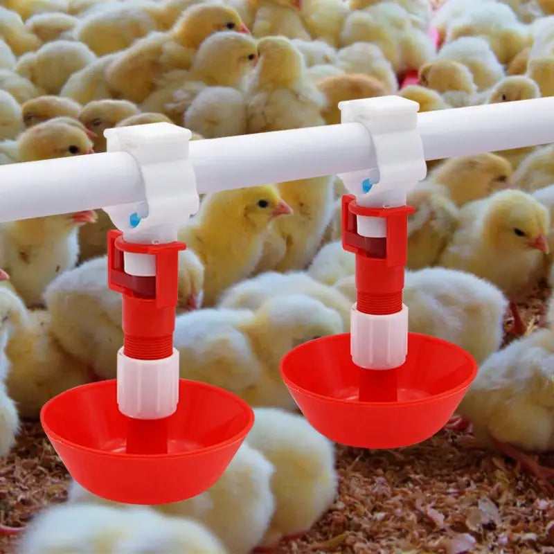 5/10/20 Pcs Automatic Chicken Water Nipple - MyPetDollar.com