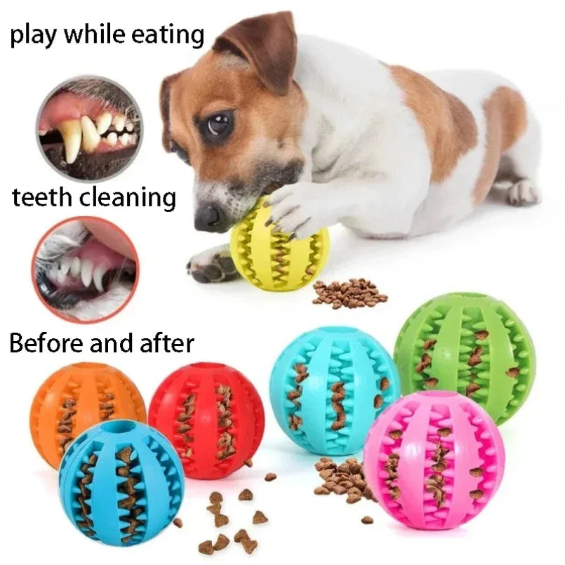 Natural Rubber Pet Dog Toys Dog Chew Toys - MyPetDollar.com