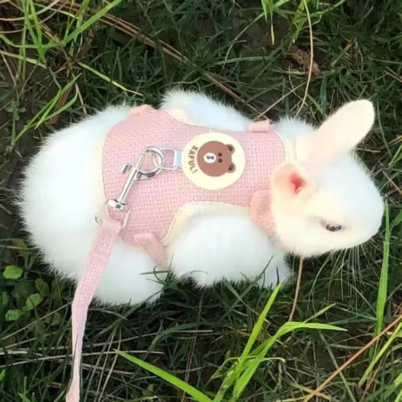 Cartoon Print Cat Rabbit Harness and Leash - MyPetDollar.com