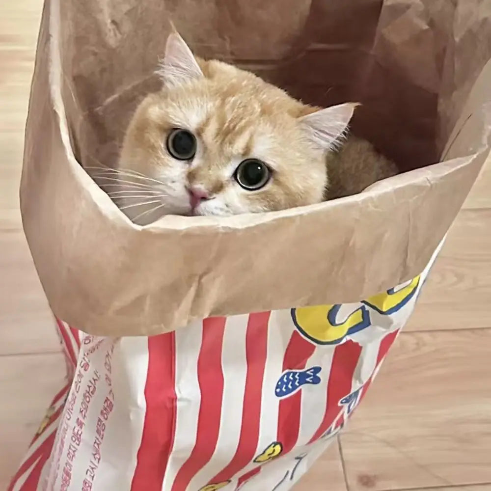 Creative Decompression Popcorn Paper Bag – Carriers, Bags & Travel