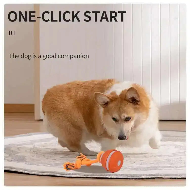 Smart Dog Toys Interactive Teasing Ball With - MyPetDollar.com