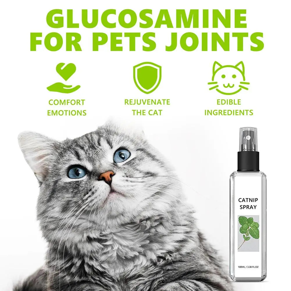 Cat Mint Spray Alleviates Cat's Anxiety and - MyPetDollar.com