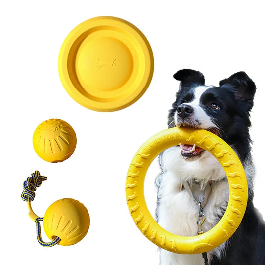 1× EVA Durable Dog Toys 19/29cm Training - MyPetDollar.com