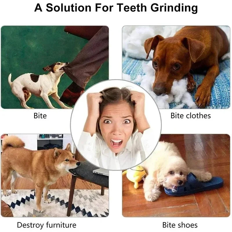 1/2Pcs Dog Toy Ball, Nontoxic Bite Resistant - MyPetDollar.com