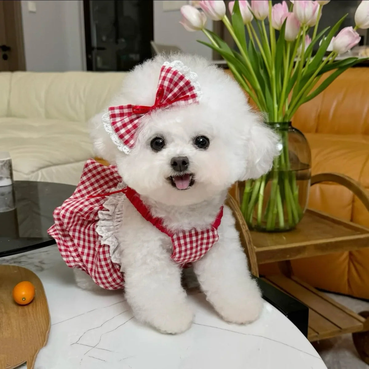 2026 Red Checkered Dog Sling Pet Princess - MyPetDollar.com