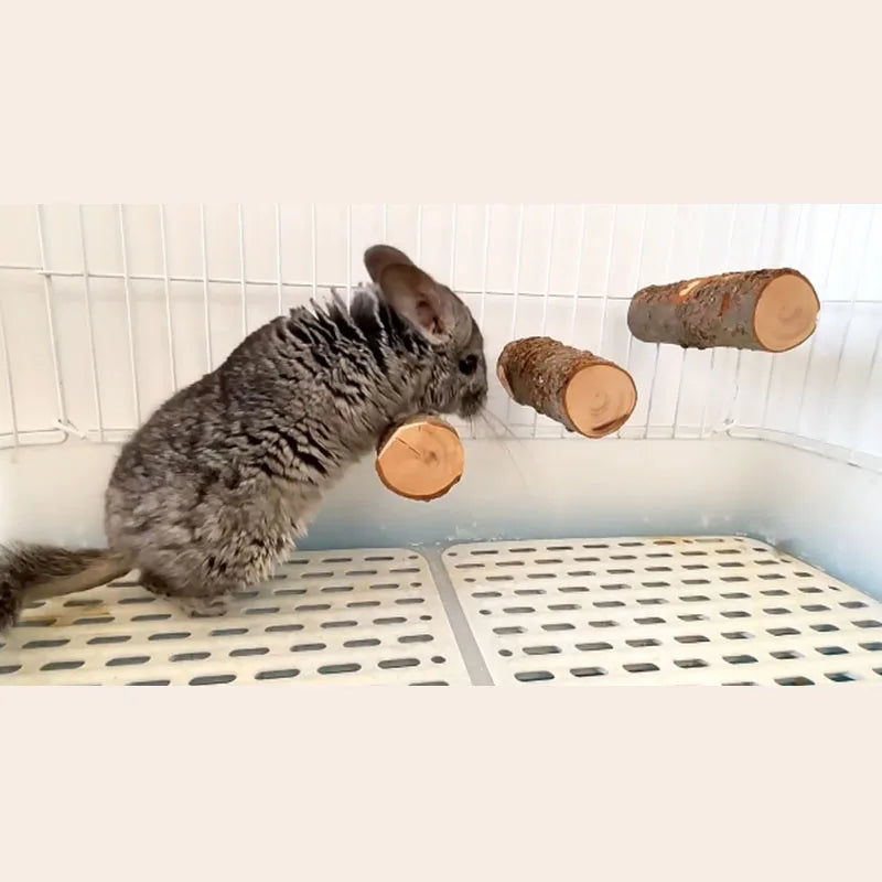 Pet Hamster Toy Natural Apple Tree Branch - MyPetDollar.com