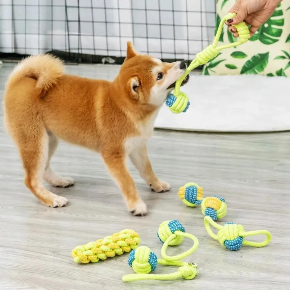 Dog Toy Rope Ball Toy for Dogs Training Toy - MyPetDollar.com