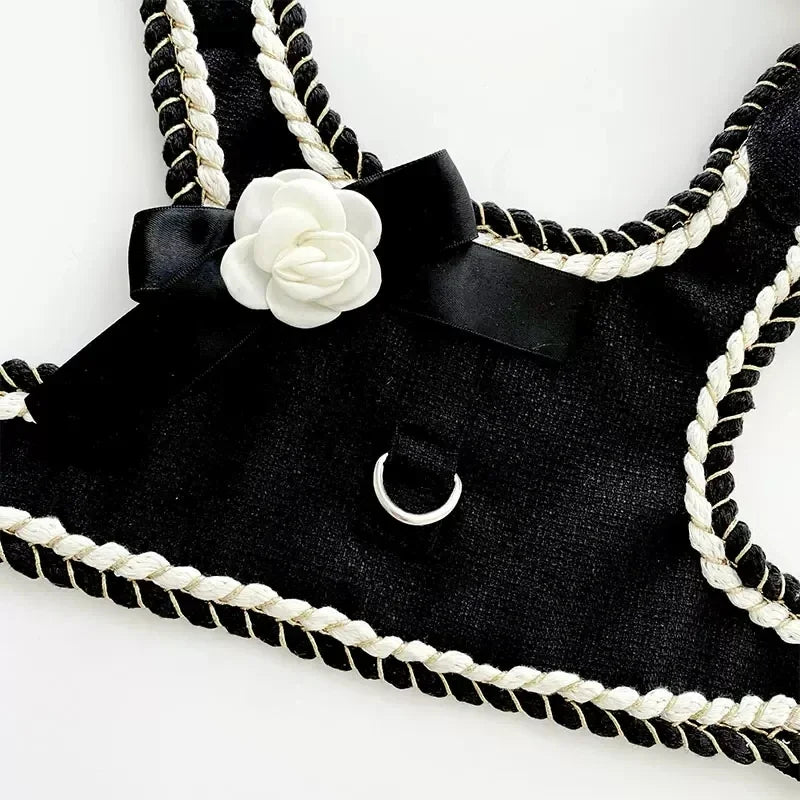 Luxury Cat Clothing Dog Cat Walking Leash - MyPetDollar.com