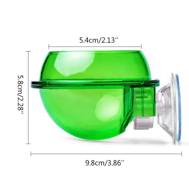 Reptile Pet Feeding Bowl Clear Anti-escape - MyPetDollar.com