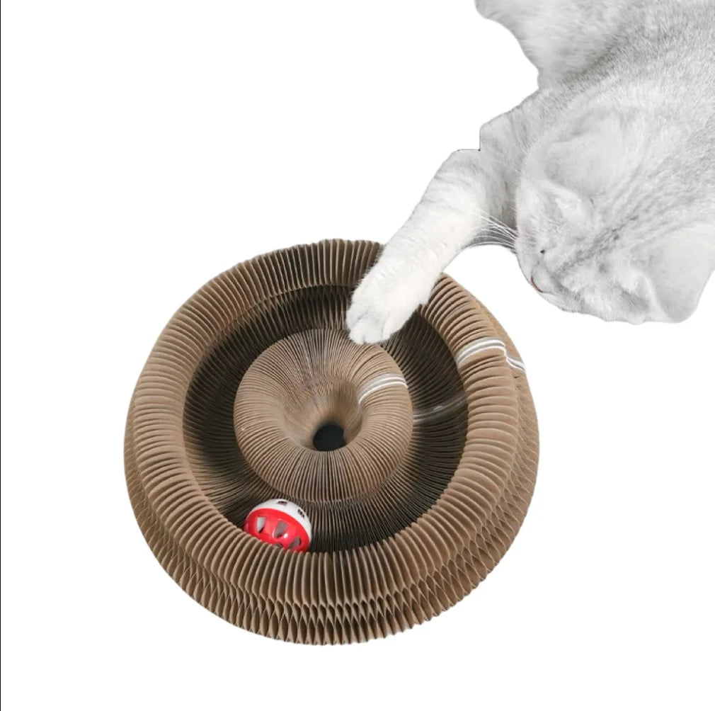 Interactive Kitten Curl Toy Foldable Magic Organ Cat Scratching Board, Durable