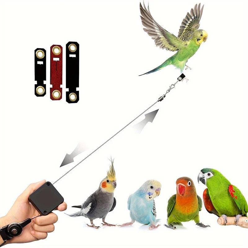 Adjustable Parrot Harness with Soft Leg - MyPetDollar.com