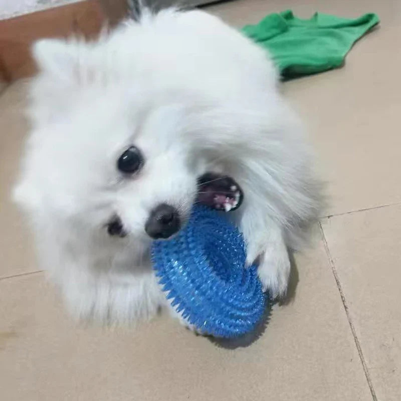 Strong Donut TPR Pet Dog Chew Toys with - MyPetDollar.com