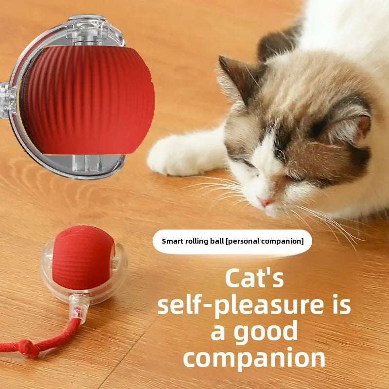 Cat Toy Ball Interactive with String Durable - MyPetDollar.com
