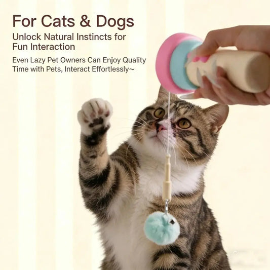 USB Rechargeable Cat Teaser Launcher with - MyPetDollar.com