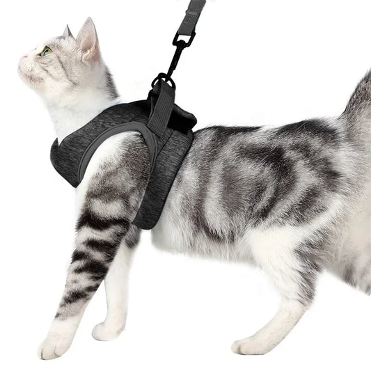 Cat Harness and Leash for Walking Escape - MyPetDollar.com