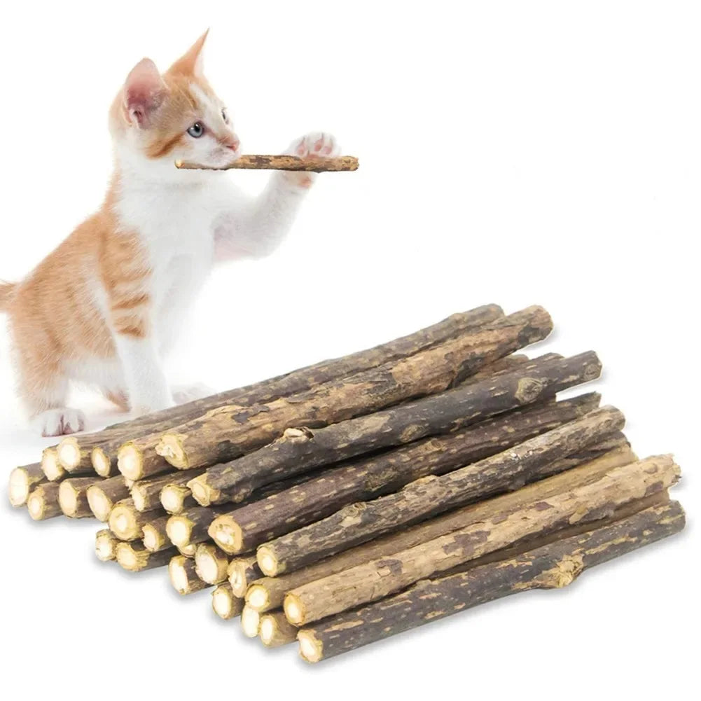 Natural Silver Vine Chew Sticks Catnip Molar - MyPetDollar.com