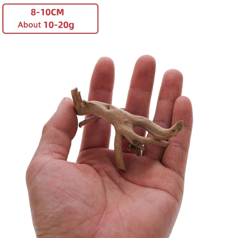 Wood Natural Trunk Driftwood Tree – Aquarium Supplies