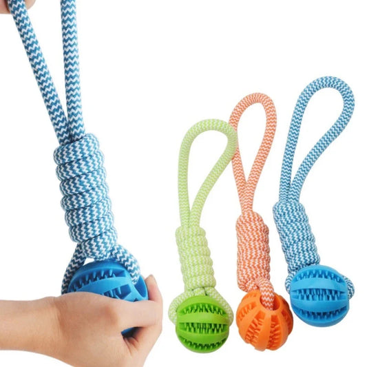 Pet Tooth Cleaning Pet Ball Toy with Rope - MyPetDollar.com