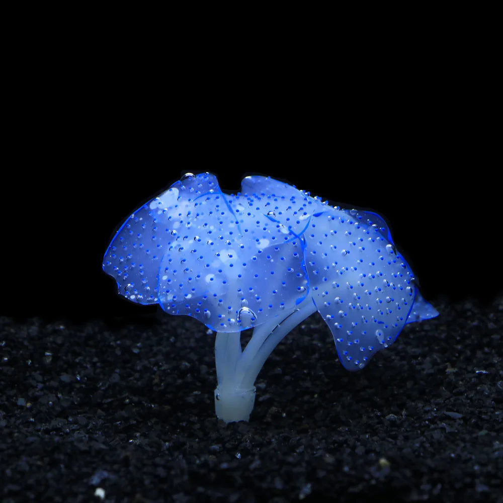 Aquarium Fish Tank Decorations with - MyPetDollar.com