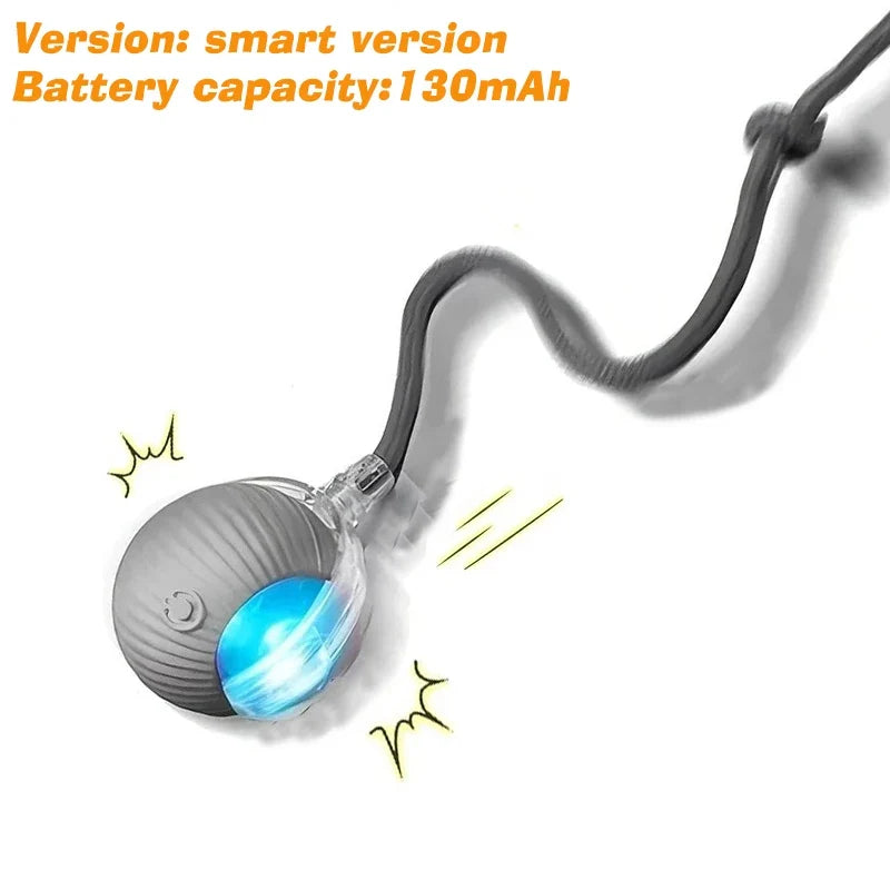 Rechargeable Cat Interactive Ball Toy – 5 Colors