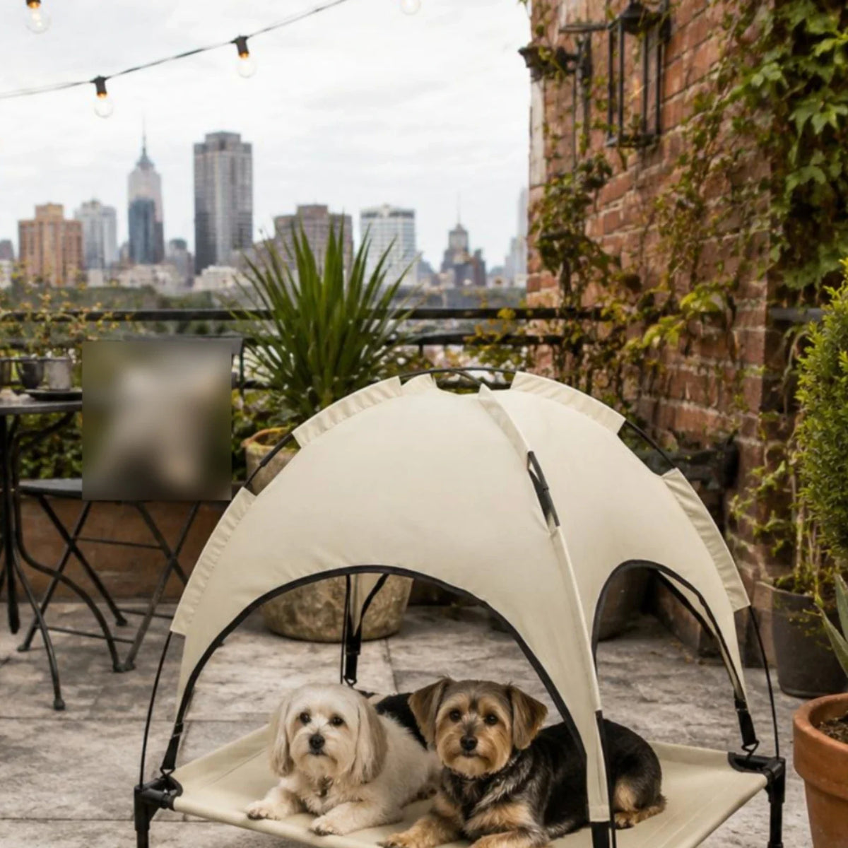 Dog Cot with Canopy Arched Elevated Pet Cot - MyPetDollar.com