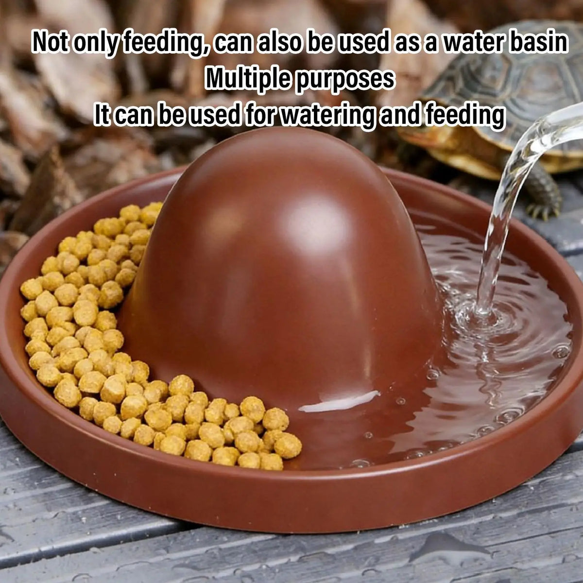 Reptile Food Dish Leopard Gecko Food Dish - MyPetDollar.com