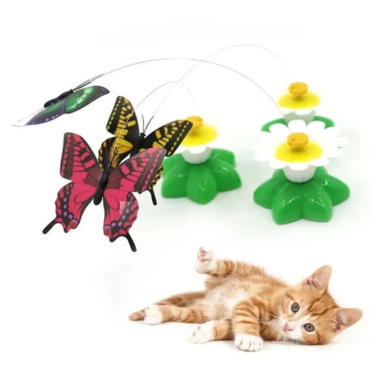 Random Color Electric Butterfly Cat Toy - MyPetDollar.com