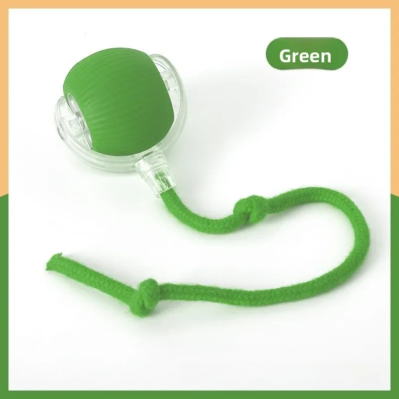 Cat Toy Ball Interactive with String Durable - MyPetDollar.com