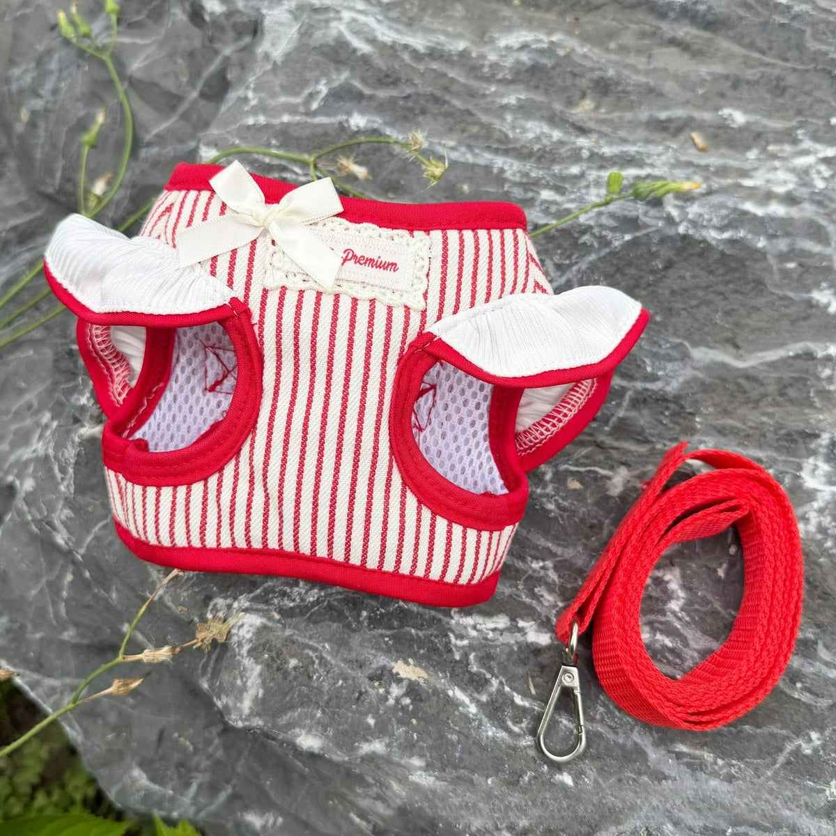 New Pet Cat Harness and Leash Set Adjustable - MyPetDollar.com