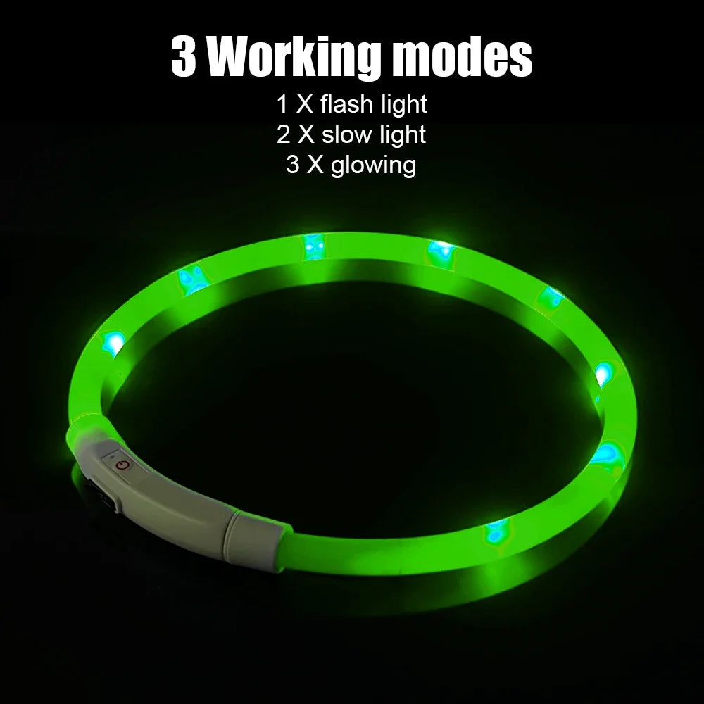 Dog Loss Prevention Led Usb Dog Collar Pet - MyPetDollar.com
