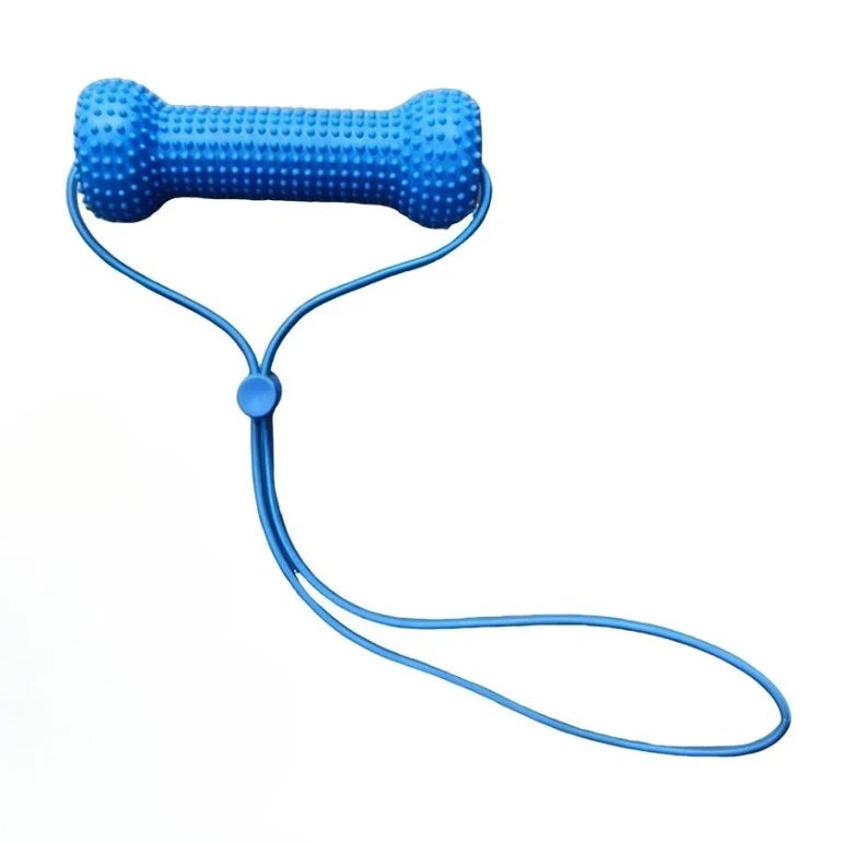 Dual-action Canine Dental Prop Dog Chew – Dog Supplies