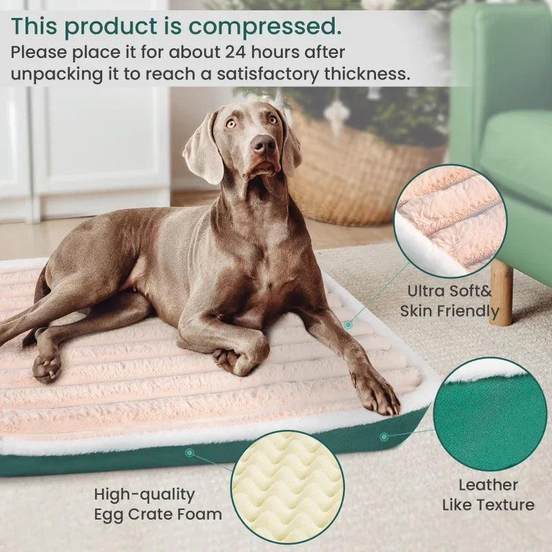 for Medium Dog Dog Bed Mat with Zipper - MyPetDollar.com